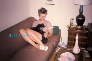 Sm2 Vv Vintage Photo 35mm Slide - Teenage Girl In Hair Curlers Holding Dog - 1963