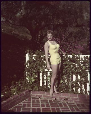 Esther Williams Vintage Glamour Pin Up In Swimsuit 5x4 Transparency