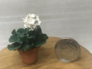 Dollhouse Artisan Miniature Vintage 1:12 Garden Plant White Geranium In Pot