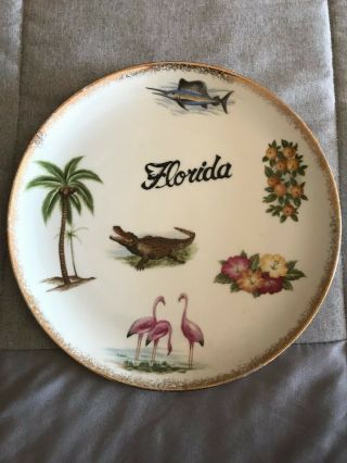 Vintage Florida Souvenir Porcelain Plate Marlin Flamingo Alligator 10” Mc - Modern