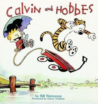 Vintage Calvin And Hobbes By Bill Watterson (1987) Paperback Book Comic
