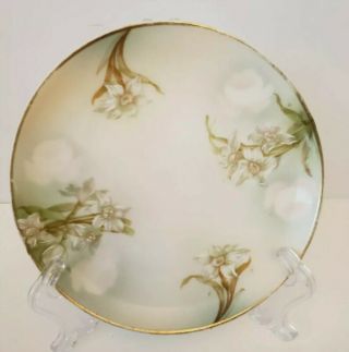 Vintage M Z Austria Hand Painted Porcelain Plate White Flowers 6”