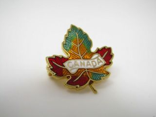 Vintage Collectible Pin: Canada Maple Leaf Multi Color