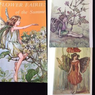 Vintage Book Flower Fairies Of The Summer Cicely Mary Barker Blackie Illustrated