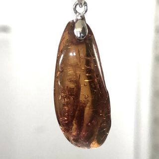 2.  5 Gram Cognac Amber Pendant,  Vintage Natural Baltic Amber,  (am986)
