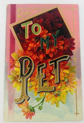 Vintage Large Letter Greetings Postcard To My Pet Embossed Germany Early 1900s