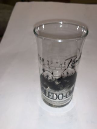 1988 Toledo Ohio Year Of The Panda Drink Glass Toledo Zoo Summer Of 88
