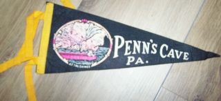 Vintage Souvenir Penn 