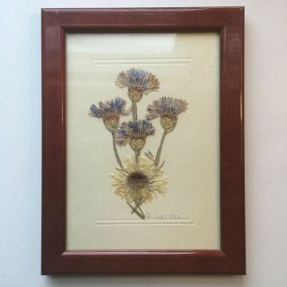 Vintage Botanical Dried Pressed Flower Arrangement,  Framed And Signed,  1997
