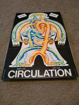 Circulation An Incredible Journey Vintage Board Game 1974 Teaching Concepts Inc. 3