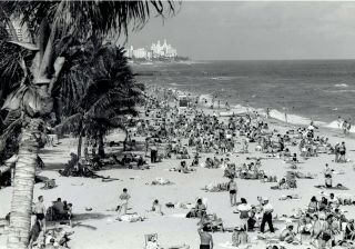 1959 Vintage Photo Aerial Cityscape View Sunbathers On Beaches Of Miami Florida