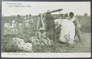 Weighing Cotton Black Americana Greetings From San Antonio Tx Vintage Postcard