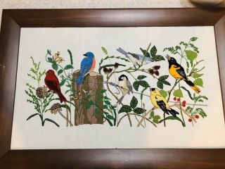 Complete Vintage Crewel Embroidery Needlework Birds In The Garden Large