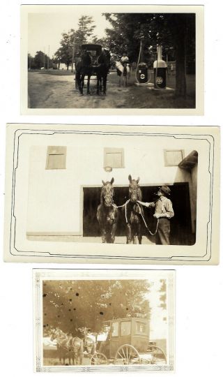 3 Vintage Photos Of Horses At A Gulf Station,  Farm Horses,  & A Horse Drawn Coach