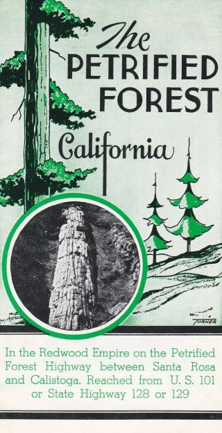 Vintage The Petrified Forest California Brochure Santa Rosa Calistoga California