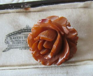 Vintage Art Deco Jewellery Deep Carved Bakelite Celluloid Rose Brooch Pin C1930