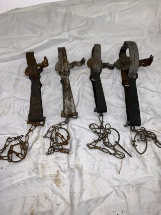 Four Vintage Victor Long Spring Muskrat Traps Fox Mink Trapping