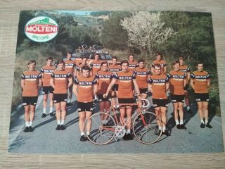 Eddy Merckx Molteni Team Cards Campagnolo Vintage 2