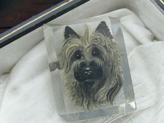 Vintage Hand Painted Portrait Dog Terrier On Carved Lucite Brooch Pin