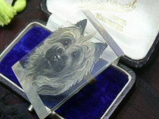 Vintage Hand Painted Portrait Dog Terrier On Carved Lucite Brooch Pin 2