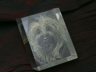 Vintage Hand Painted Portrait Dog Terrier On Carved Lucite Brooch Pin 3