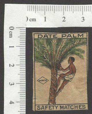 India Vintage Litho Matchbox Label Date Palm By Wimco