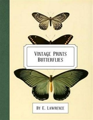 Vintage Prints: Butterflies,  Like,  In The Us