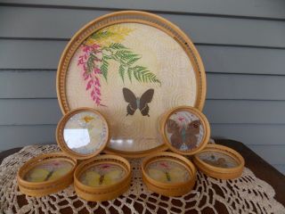 7 Piece Vintage Bamboo Serving Tray & 6 Coaster Set Butterfly Design
