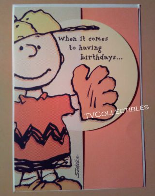 Vintage Hallmark Greeting Card Peanuts Charlie Brown Birthday Die - Cut