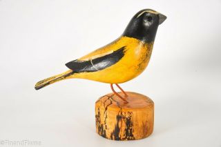 Jim Slack Song Bird Evening Grosbeak Signed By Artist Gh483
