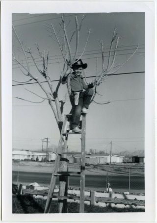 Cute Little Cowboy Climbing Tree Hat Toy Guns Smile Vintage Snapshot Photo