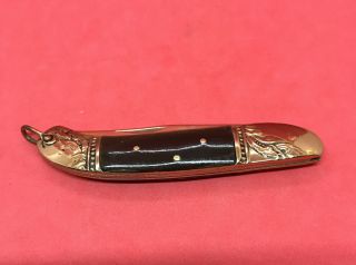 Vtg Small Pocket / Fob Knife Horn Handle Gold Tone Metal 3 1/4” Closed