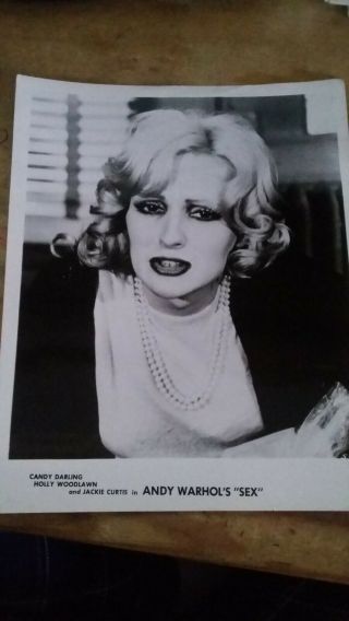 Vintage Andy Warhol Candy Darling Trans Star " Sex " 8x10 Promo Photo