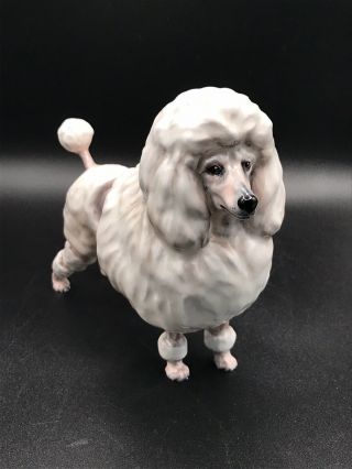 Vtg Royal Doulton Porcelain French Poodle Dog Figurine Hn 2631 Stamp & Initialed