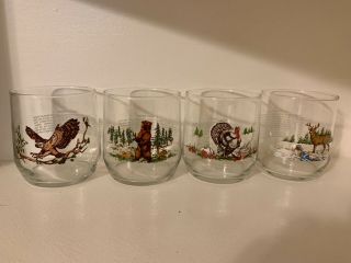 Vintage Low Ball Glasses Owl,  Bear,  Turkey,  Deer With Info On Each Animal Glass