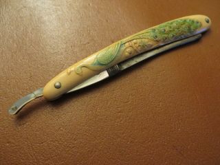 A.  F.  Bannister & Co.  Straight Razor - Vintage – Peacock Design On Scale