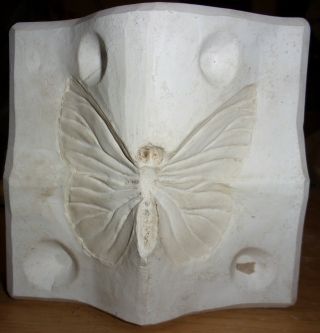 Vtg Slip Casting Ceramic Mold Unbranded Butterfly 3 Piece Mold