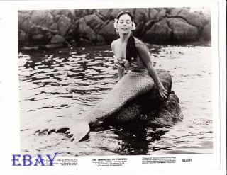 Diane Webber Busty Sexy Mermaid Vintage Photo Mermaids Of Tiburon