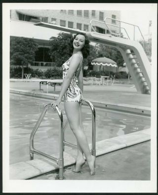 Adele Mara In Leggy Cheesecake Pin - Up Vintage 1940s Photo
