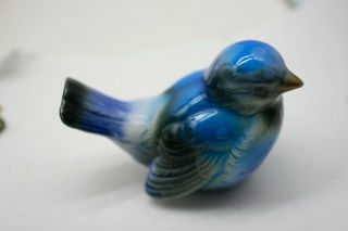 Stunning Vintage Estate Goebel West Germany Cv72 Blue Bird Sparrow Figurine E3