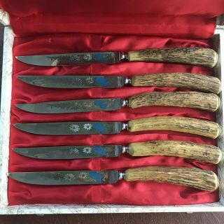 Vintage Anton Wingen Jr Stag Handle Set 6 Steak Knives In Case Solingen Germany
