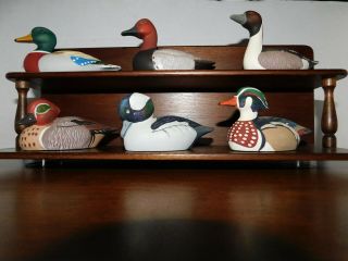 Vtg.  1984 Complete Set Of 6 Avon Collector Duck Series And Display Shelf W/boxes