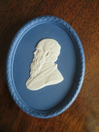 Vintage Wedgwood Jasperware Portrait Plaque Medallion Of Charles Darwin C2006