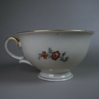Vintage Krister Porzellan Manufaktur KPM Germany Tea Cup and Saucer Floral Gold 3
