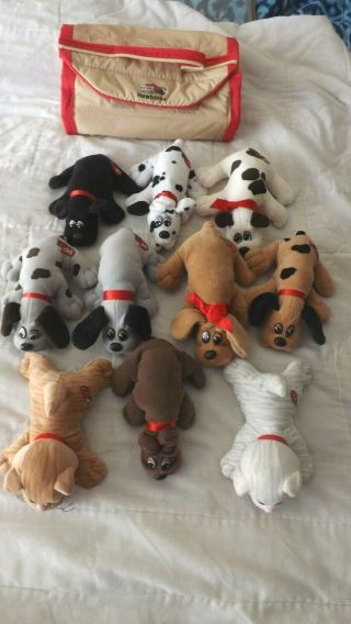 10 Vintage 80,  S Tonka Pound Puppies And Cats With Carrier And Rare Black Puppy