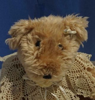 Vintage 5 Way Jointed ?mohair? 12 " Teddy Bear Lace Collar
