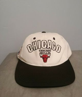 Vintage Chicago Bulls Sports Specialties Snapback Hat Cap 1990s Jordan Nba 90s