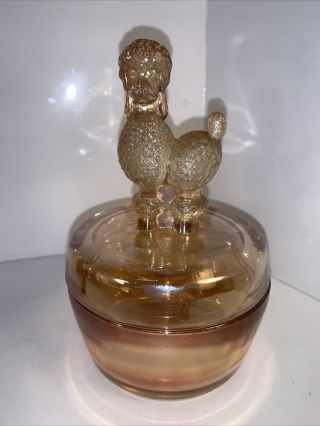 Vintage Carnival Glass Poodle Powder Jar Trinket Box Jeanette In Marigold