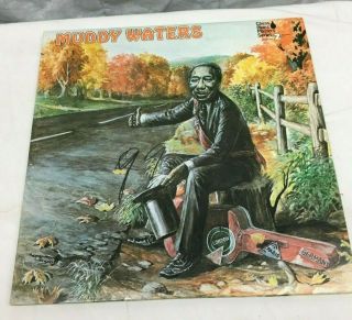 Vintage Muddy Waters On Chess Records Double Album Set Very Good,