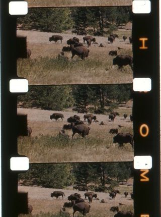 Rare Vintage 16mm Home Movie Film Trip Out West North South Dakota Montana 18w